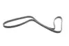 Ремень генератора BMW 1 (E81/E87)/3 (E90) 2.0/3.0d 06-12 (N47) (6PK1698) FB 6DPK1698 INA FB6DPK1698 (фото 4)