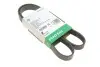 Ремінь INA FB 6PK1255 FB6PK1255
