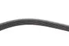 Ремень генератора BMW 3 (E46)/5 (E39)/7 (E38) 95-05 (5PK865) (M52/M54) FB 5PK865 INA FB5PK865 (фото 3)
