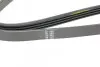 Поликлиновой ремень HUTCHINSON 1117SK4 (фото 3)