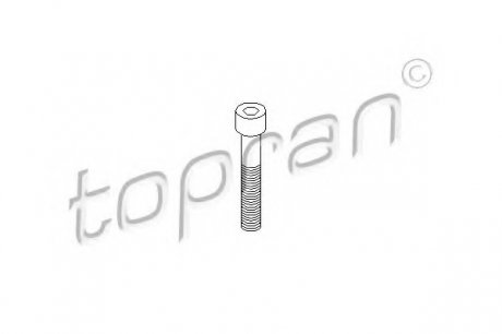Болт, корпус скоби гальма TOPRAN / HANS PRIES 110708 (фото 1)
