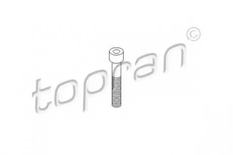 Болт, корпус скоби гальма TOPRAN TOPRAN / HANS PRIES 110708