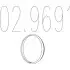 Монтажне кільце вихлопної системи 02.9691 MTS 029691 (фото 1)