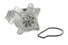 Водяной насос VKPC 91866 SKF VKPC91866
