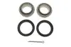 Комплект подшипника ступицы колеса KAVO PARTS WBK5501