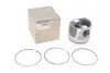 Поршень RENAULT 120A12695R