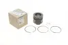 Поршень Renault RENAULT 120A11104R