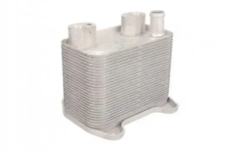 Масляный радиатор THERMOTEC D4M010TT