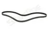 Ремень ручейковый Starline SR 6PK2170 STARLINE SR6PK2170