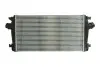 Радиатор охлаждения воздуха THERMOTEC DAX013TT
