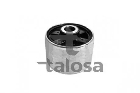 Підвіска TALOSA 57-07558