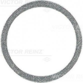 Уплотнительное кольцо, резьбовая пробка VICTOR REINZ 417106500 (фото 1)