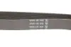 Доріжковий пас DAYCO 6PK1004K (фото 2)