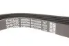 Доріжковий пас DAYCO 6PK1004K (фото 3)