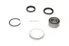 Комплект подшипника ступицы колеса PARTS KAVO WBK-9074 (фото 1)