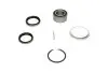 Комплект подшипника ступицы колеса PARTS KAVO WBK-9074 (фото 4)