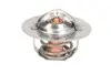 Термостат THERMOTEC D2DE002TT (фото 1)
