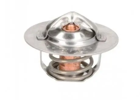Термостат THERMOTEC D2DE002TT (фото 1)