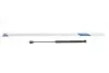 Амортизатор кришки багажника Mini Clubman/Clubvan 08-14 STABILUS 348944