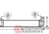 Інтеркулер RENAULT MEGANE3 20i/19dCi MT 08- (вир-во Van Wezel) 43004411