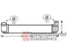 Інтеркулер RENAULT MEGANE3 20i/19dCi MT 08- (вир-во Van Wezel) 43004411