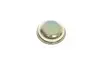 Крышка ступицы AIC 52195