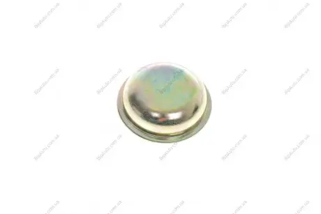 Крышка ступицы AIC 52195