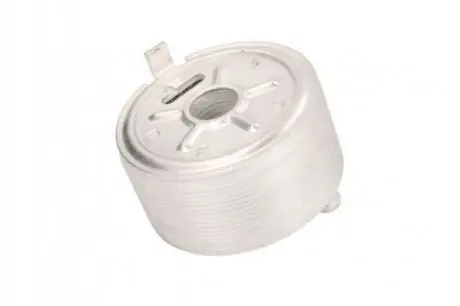 Масляный радиатор THERMOTEC D41002TT