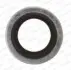 Прокладка зливної горловини двигуна PSA/RENAULT/VOLVO 16.7X24X1.5 (вир-во Payen) KG5012