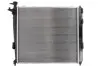 Радіатор THERMOTEC D70316TT