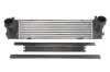 Интеркулер THERMOTEC DAB013TT (фото 1)