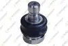 TEKNOROT JEEP Шаровая опора нижня Compass 10-,Dodge Caliber 06- JE-314 TEKNOROT JE-314