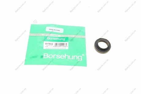Уплотняющее кольцо Borsehung B17833 (фото 1)