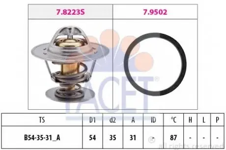 Термостат, охолоджуюча рідина FACET 7.8278