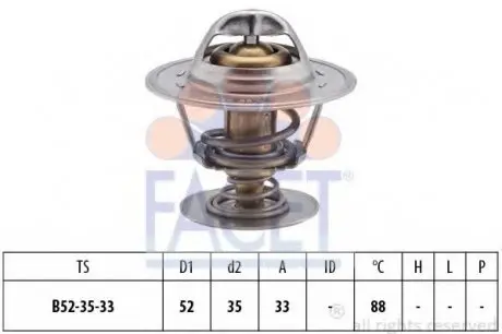 Термостат, охолоджуюча рідина FACET 7.8394S