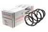 Передняя пружина подвески LS4062102 LESJOFORS 4062102 (фото 2)