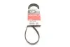 Дорожный пас GATES GAT5PK1248
