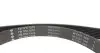 Комплект поликлинового ремня RENAULT CLIO/MEGANE/SCENIC 12- INA 529018710 (фото 3)