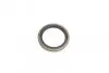 Комплект подшипника ступицы колеса PARTS KAVO WBK-1005 (фото 5)