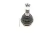 Несущий / направляющий шарнир KAVO PARTS SBJ-6501