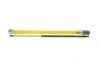 Амортизатор кришки багажника Renault Grand Scenic III 09-16 (GS1102) MAGNETI MARELLI 430719110200
