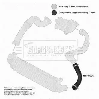 Шлангопровід BORG & BECK BTH1699