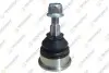 Шаровая опора передняя L/R, M12X1.5 TEKNOROT CR135