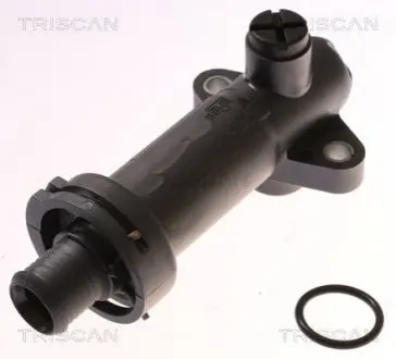 Термостат TRISCAN 8620 46070