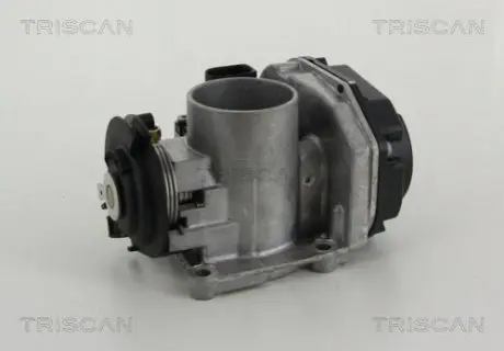 Патрубок TRISCAN 8820 29011