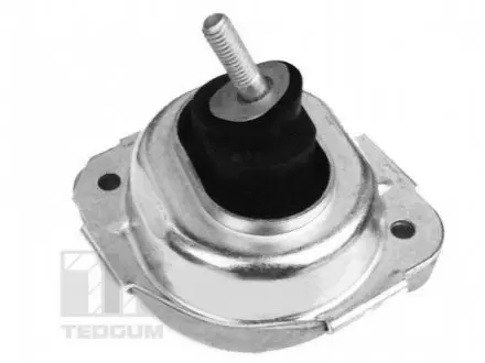 Подвеска TED-GUM TEDGUM 00088531 (фото 1)