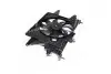 Вентилятор, охлаждение двигателя AVA QUALITY COOLING AVA COOLING FT7559 (фото 1)