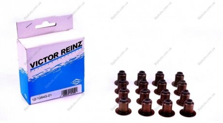 Комплект сальників клапанів REINZ VICTOR REINZ 121264301