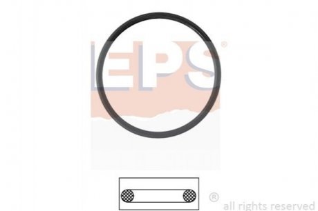 Прокладкаa EPS 1.890.687 (фото 1)