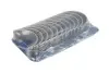 Вкладиші шатунні BMW N57 +0.25 Kolbenschmidt 77952610